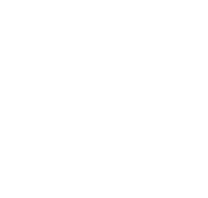 SurveyBreeze logo