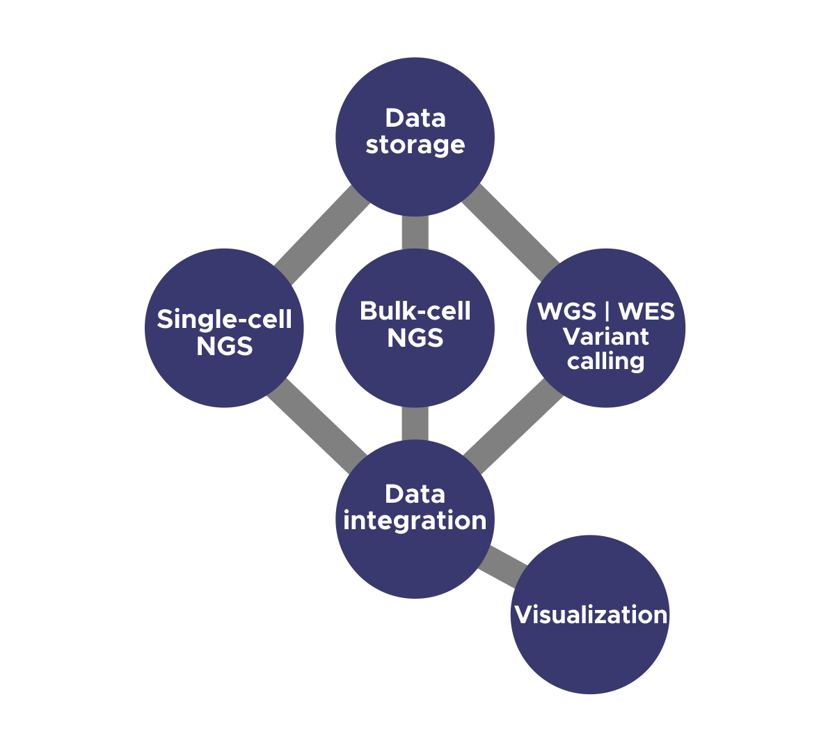 NGS06